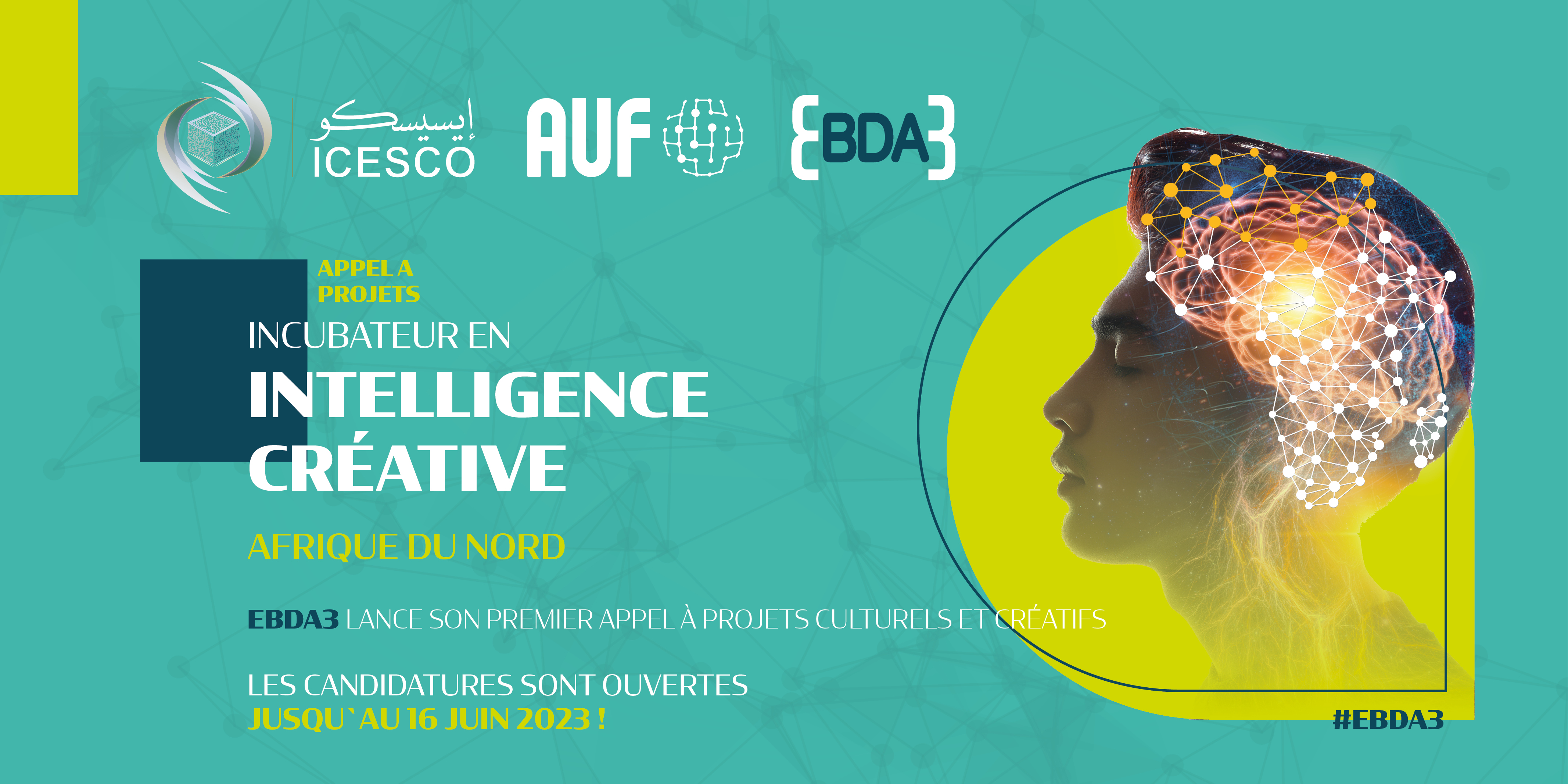 Incubateur en intelligence créative afrique du nord - Projection