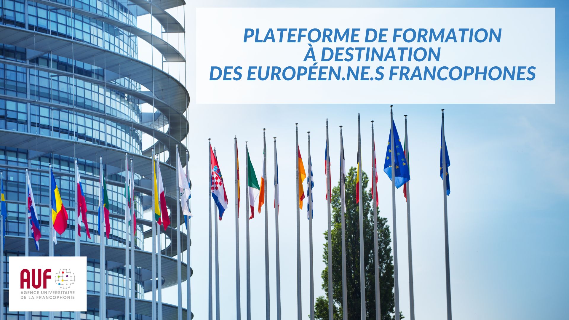 Plateforme Europeens francophones